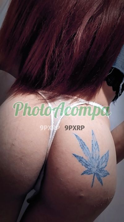 Rosinha (11) 95108-6203, transex em Praia Grande
