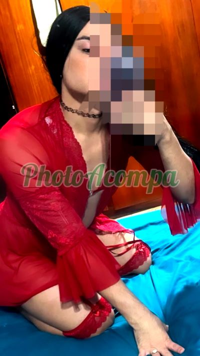 Letícia (19) 97812-8886, trans no Asa Norte (Brasília / DF)