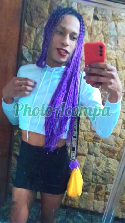 Sasha Fernnannda (19) 95329-1532, transex em Piracicaba